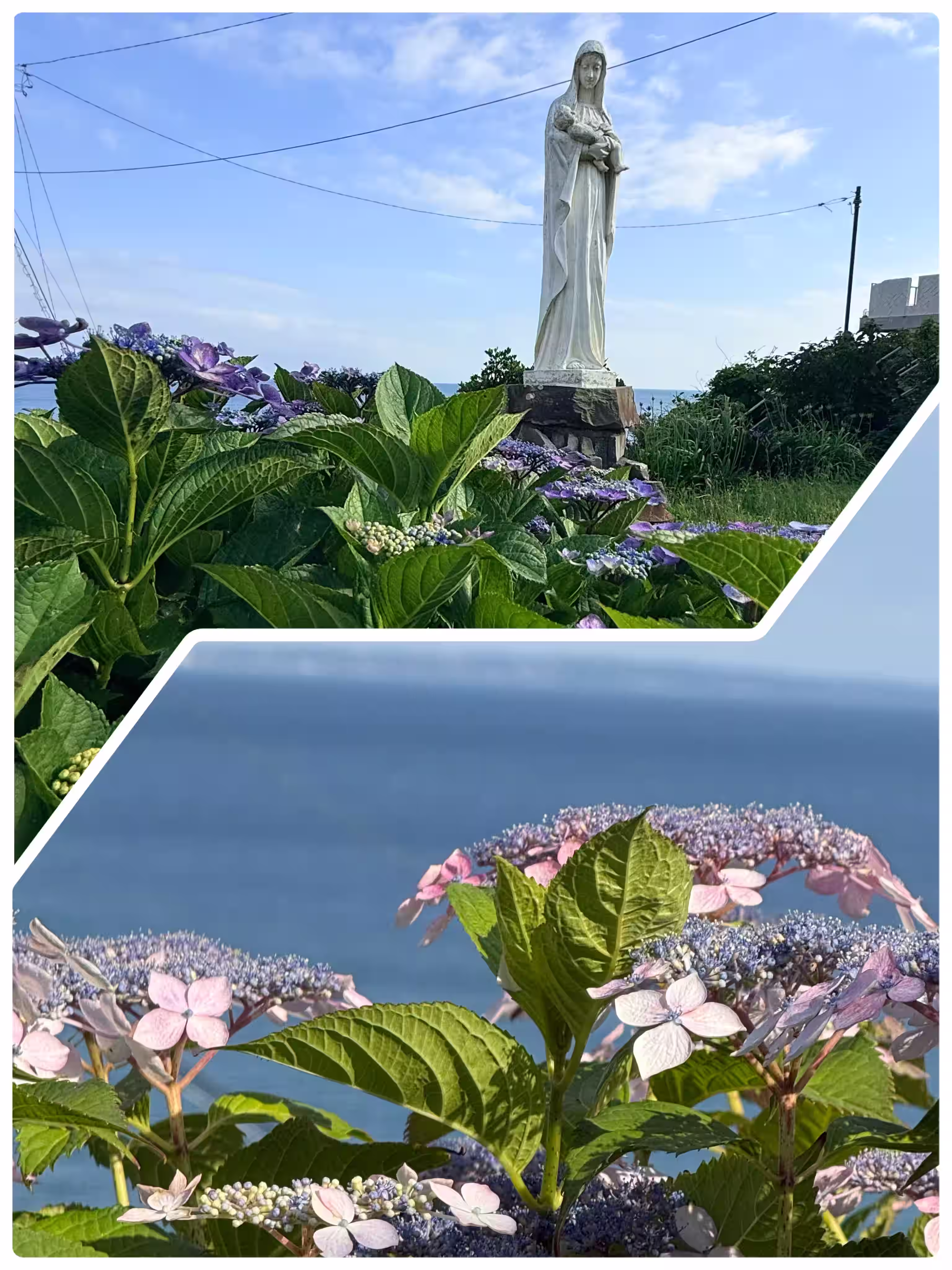 青い海を背景に美しく咲き誇る紫陽花と、老人ホームの敷地内に佇むマリア像のコラージュ写真